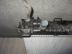 id_17737_IMG_8622.JPG