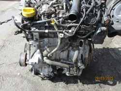 id_19394_IMG_9406.JPG